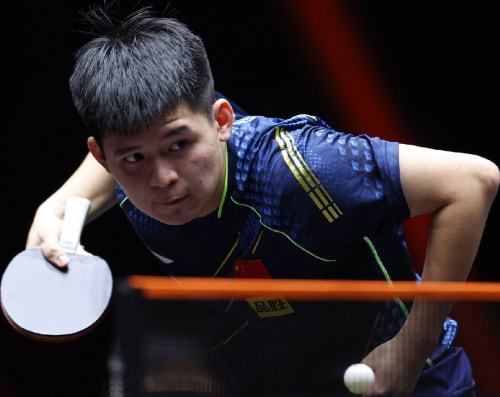 这对组合的 这对组合的