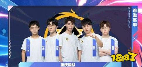 的热爱